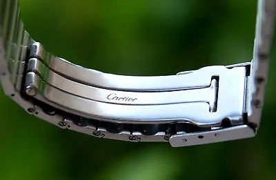 CARTIER SANTOS 29mm MENS AUTOMATIC DATE WATCH STAINLESS STEEL WHT DIAL W20055D6