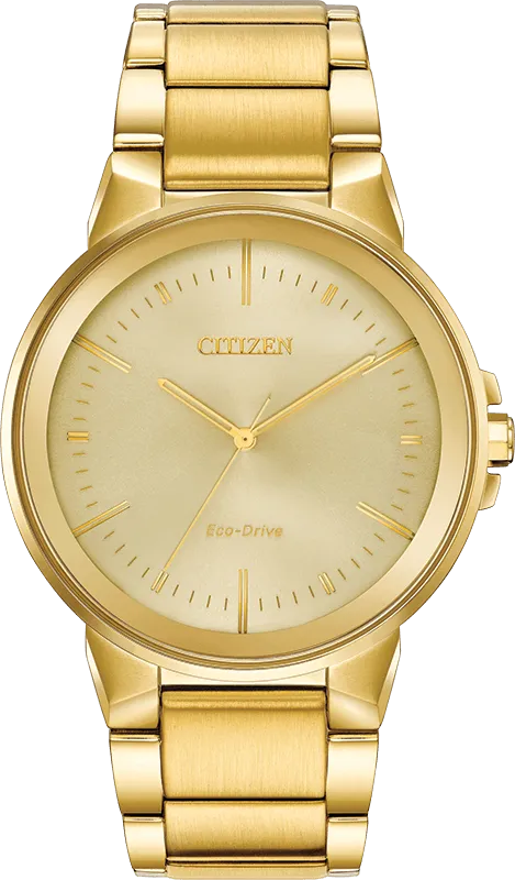 Citizen Eco Drive Axiom Men's Watch BJ6512-56P
