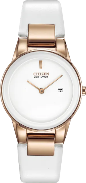 Citizen Eco Drive Axiom Women's Watch GA1053-01A