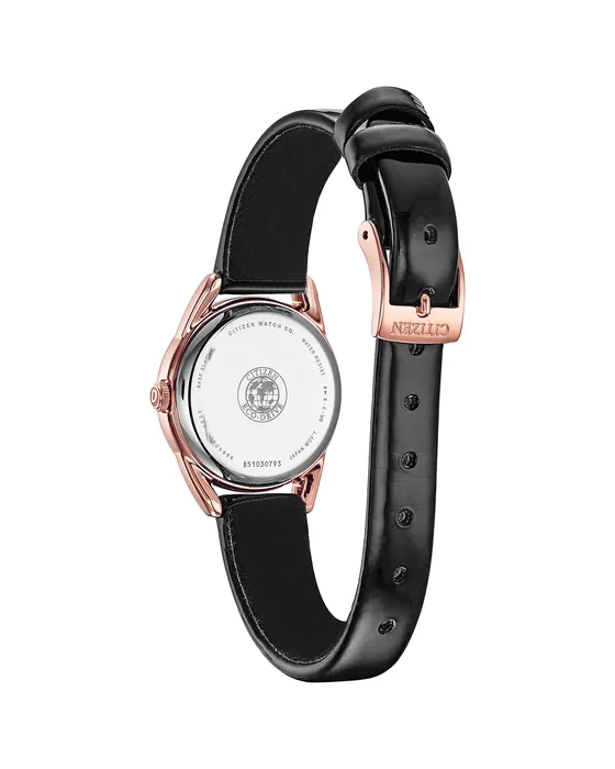 Citizen Eco Drive Ltr (Long Term Relationship) Women's Watch EM0688-01E