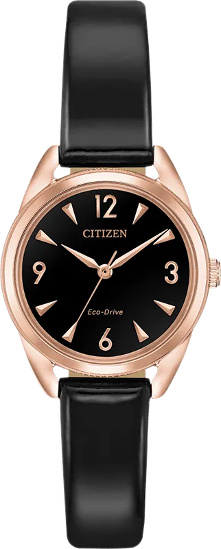 Citizen Eco Drive Ltr (Long Term Relationship) Women's Watch EM0688-01E