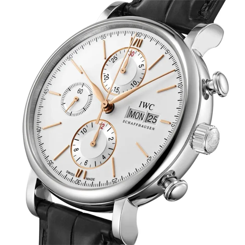 Portofino Chronograph Steel IW391031