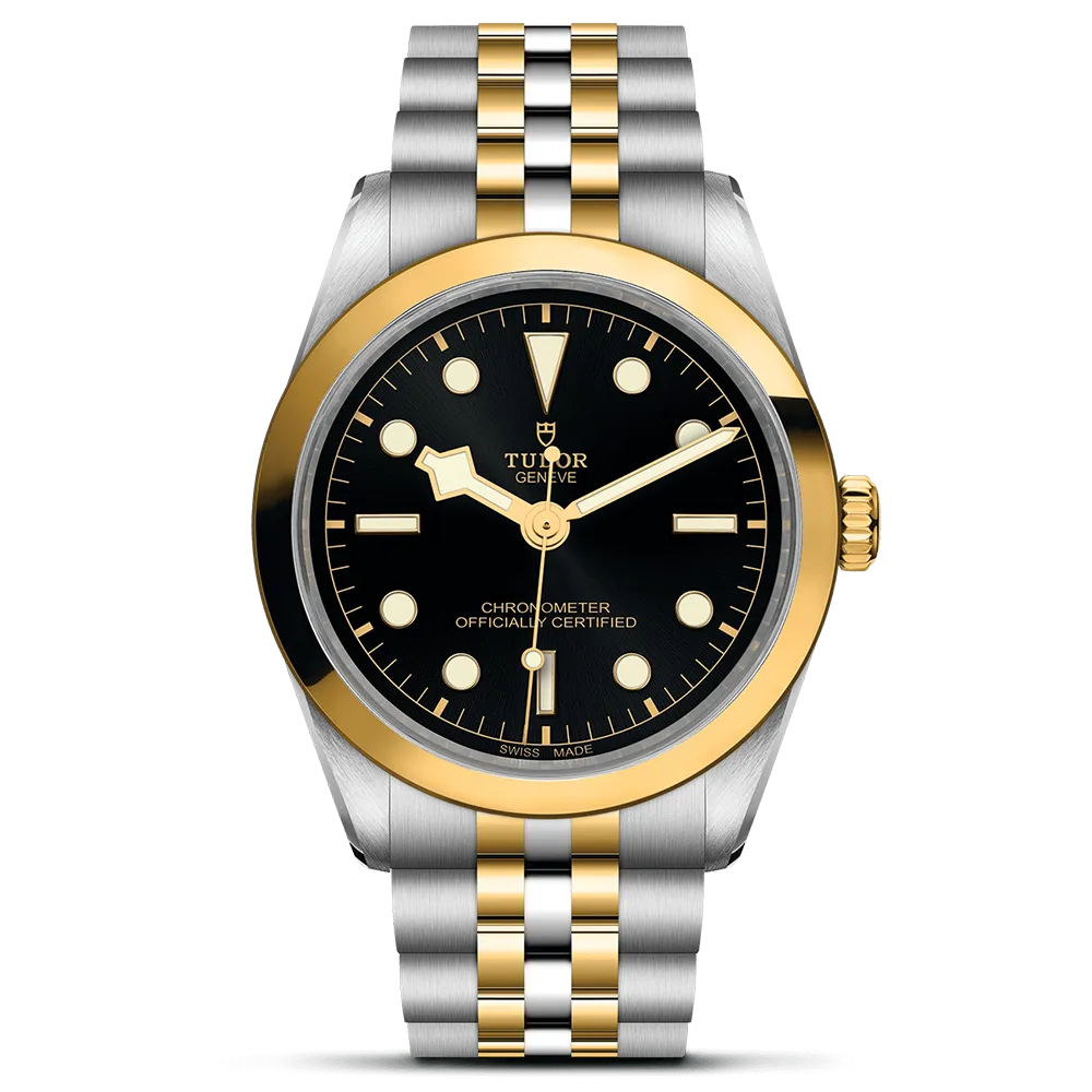 TUDOR Black Bay 36 S&G M79643-0001