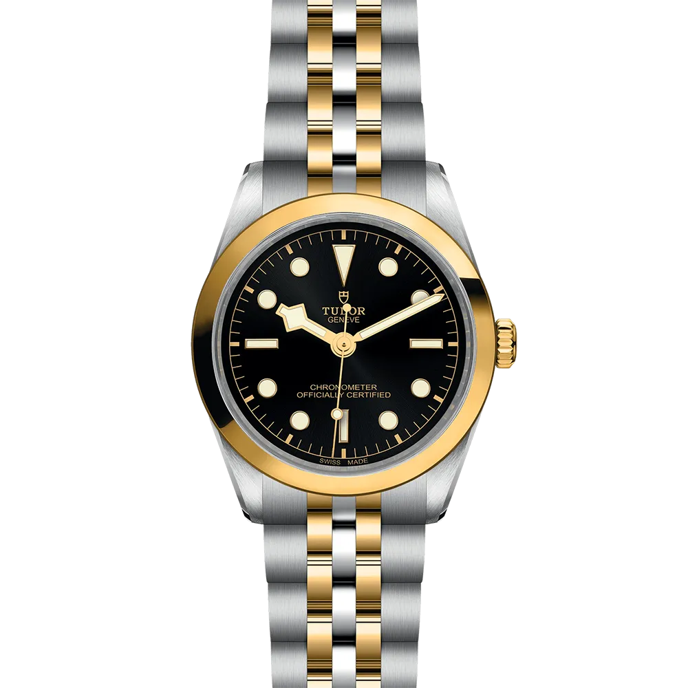 TUDOR Black Bay 36 S&G M79643-0001